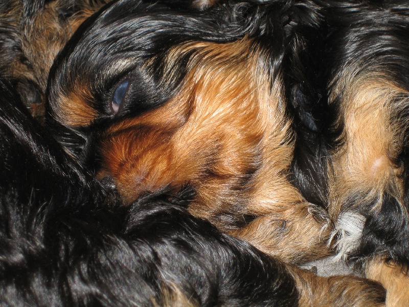 betty bébé