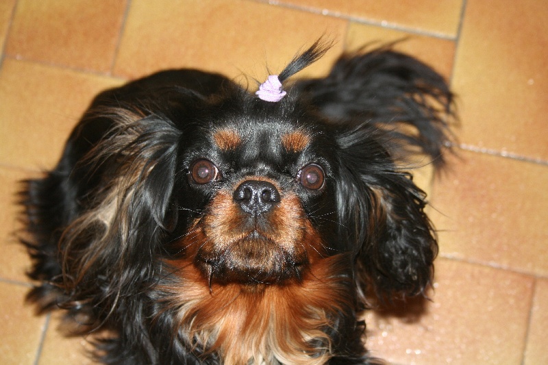 betty adulte